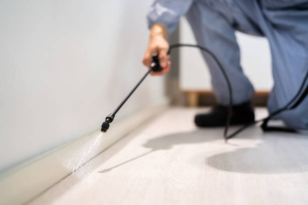 Bed Bug Pre-Treatment Preparation Assessment in Belterra