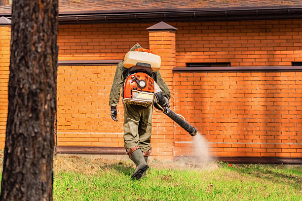 Bed Bug Clearance Verification and Documentation in Belterra